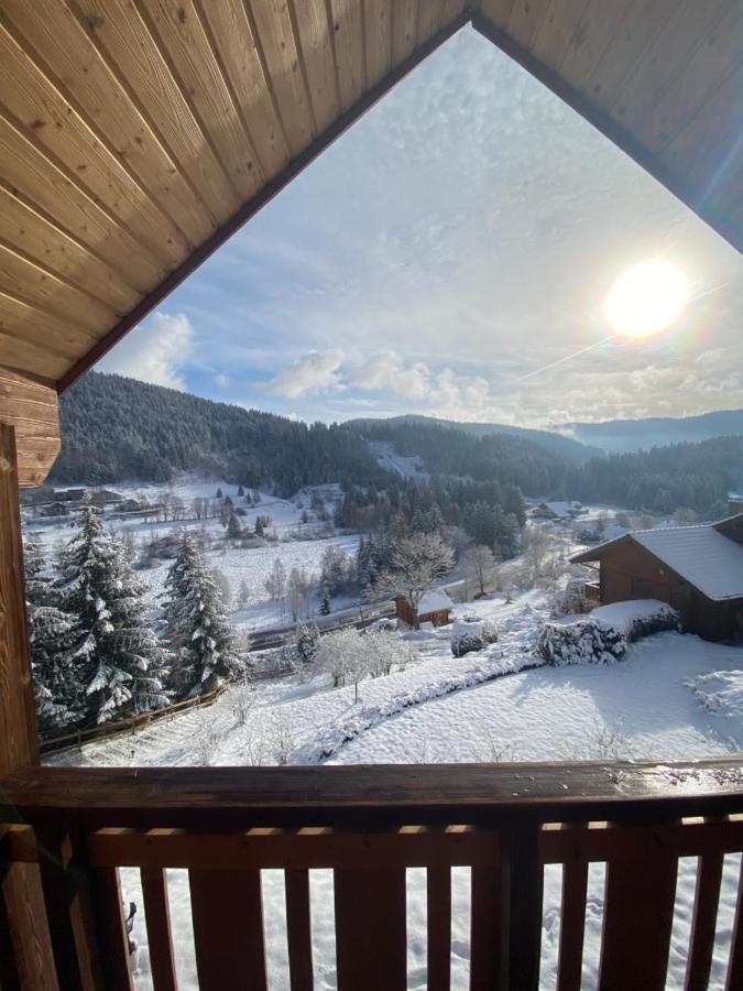 Chalet De La Grimpette Au Coeur De Gérardmer Exteriér fotografie